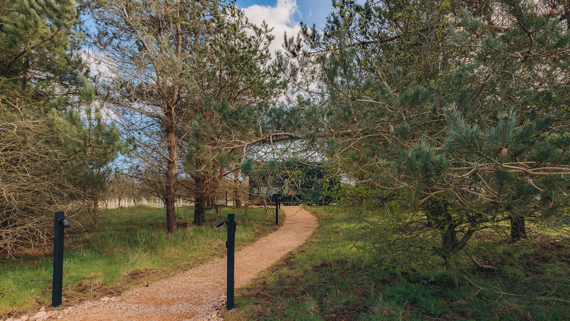 A gravel path through a wooded area with trees and a clear sky.