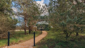 A gravel path through a wooded area with trees and a clear sky. - Red Squirrel (St. Andrews)