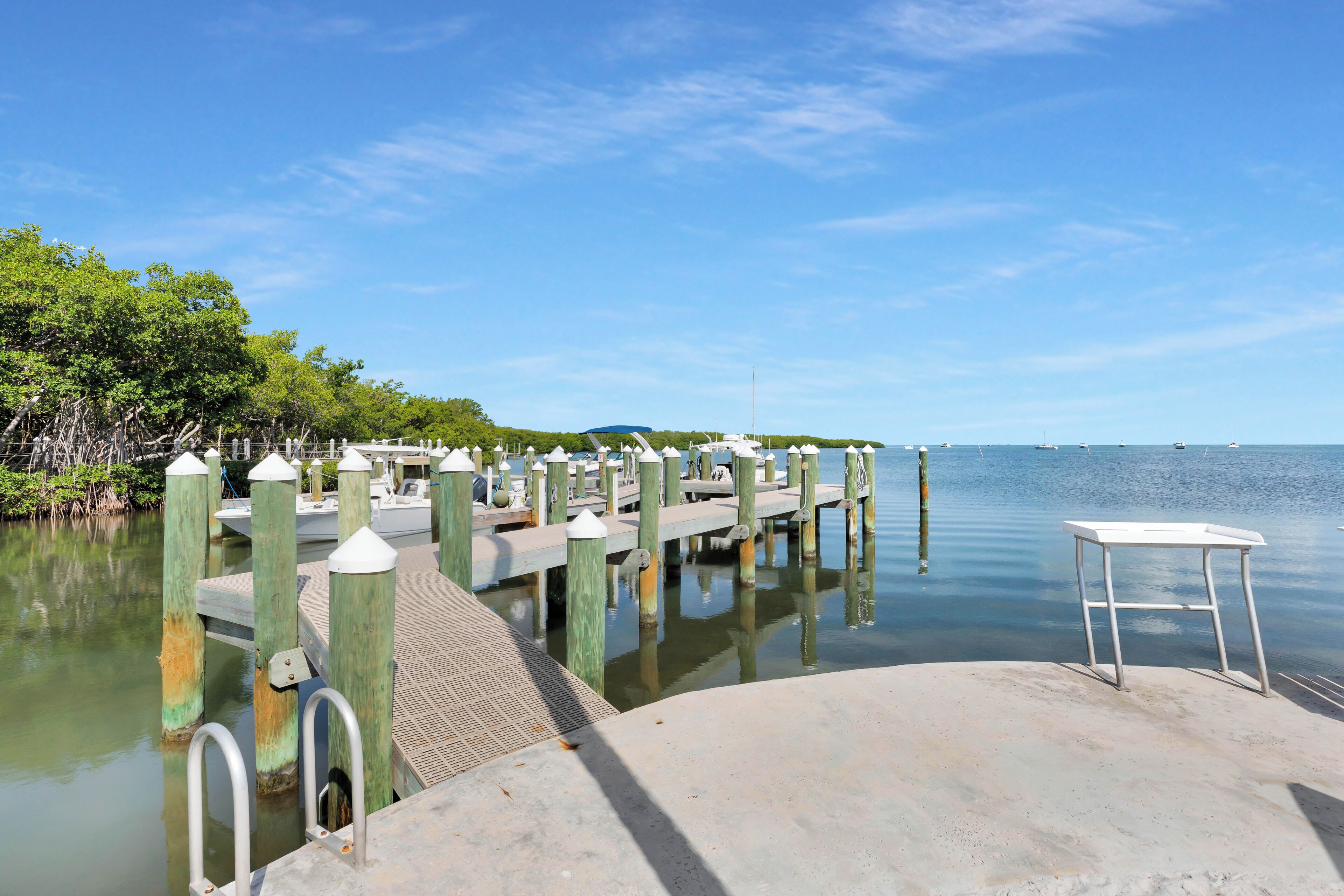 A pier extending into calm water with a clear sky above, surrounded by greenery.