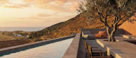 A poolside area with a seating arrangement and a tree.