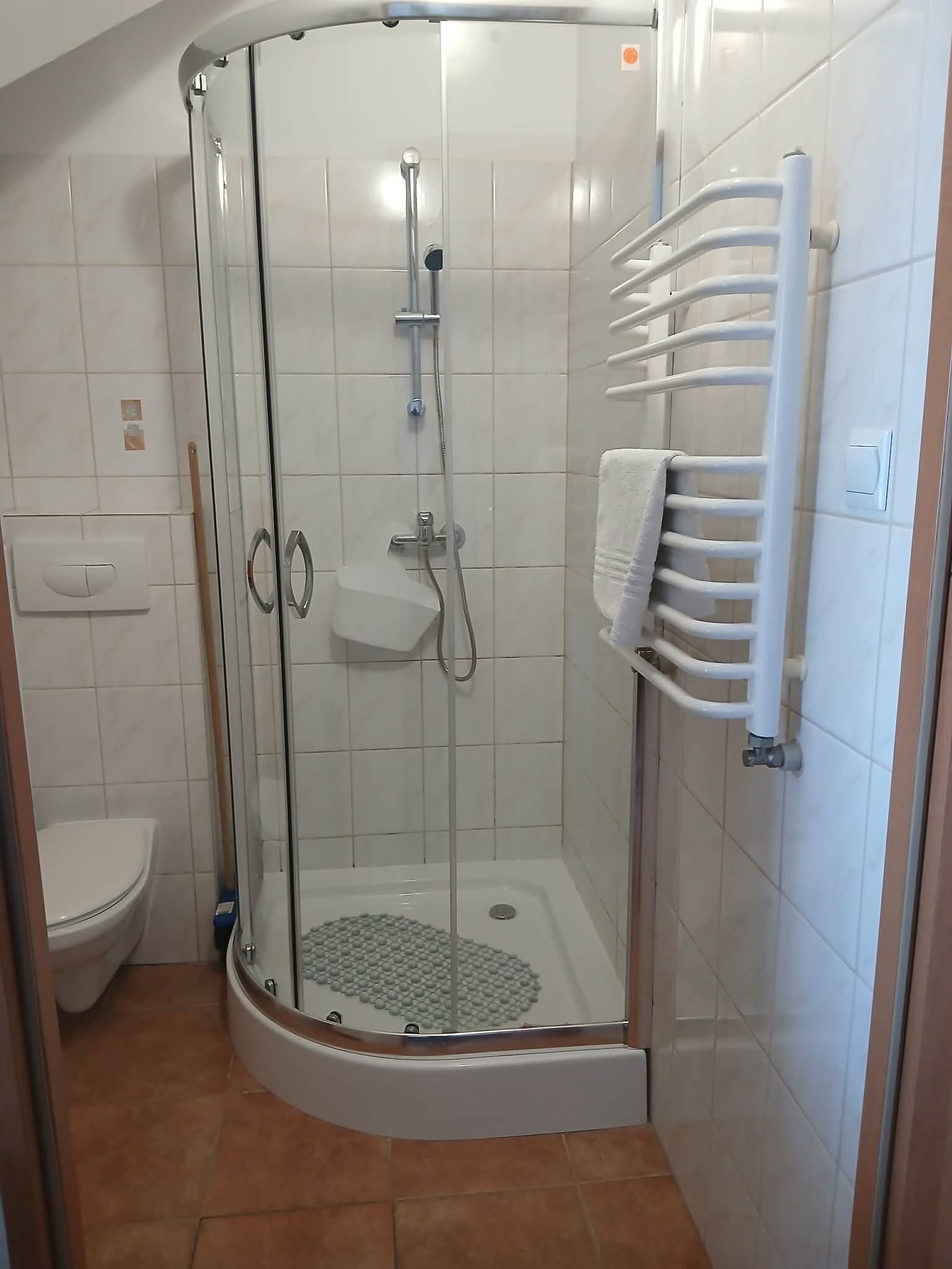 A glass-enclosed shower stall with a white tiled wall, a white towel rack, and a white toilet.