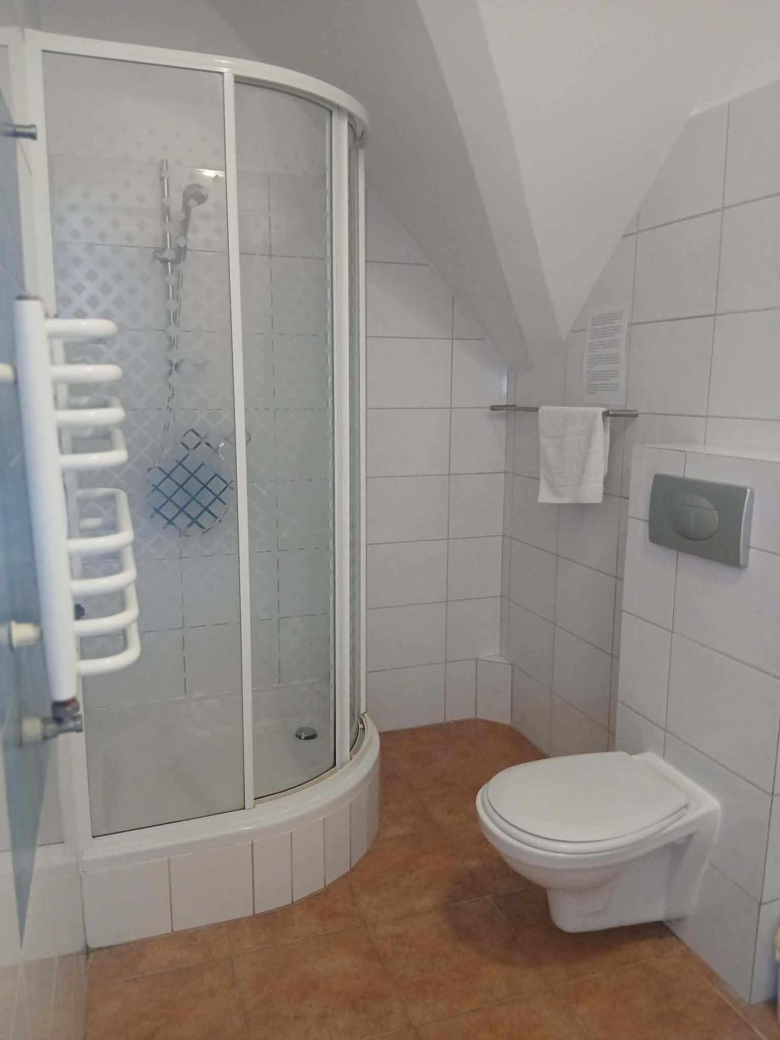 Un baño con ducha de vidrio, inodoro blanco y toallero.