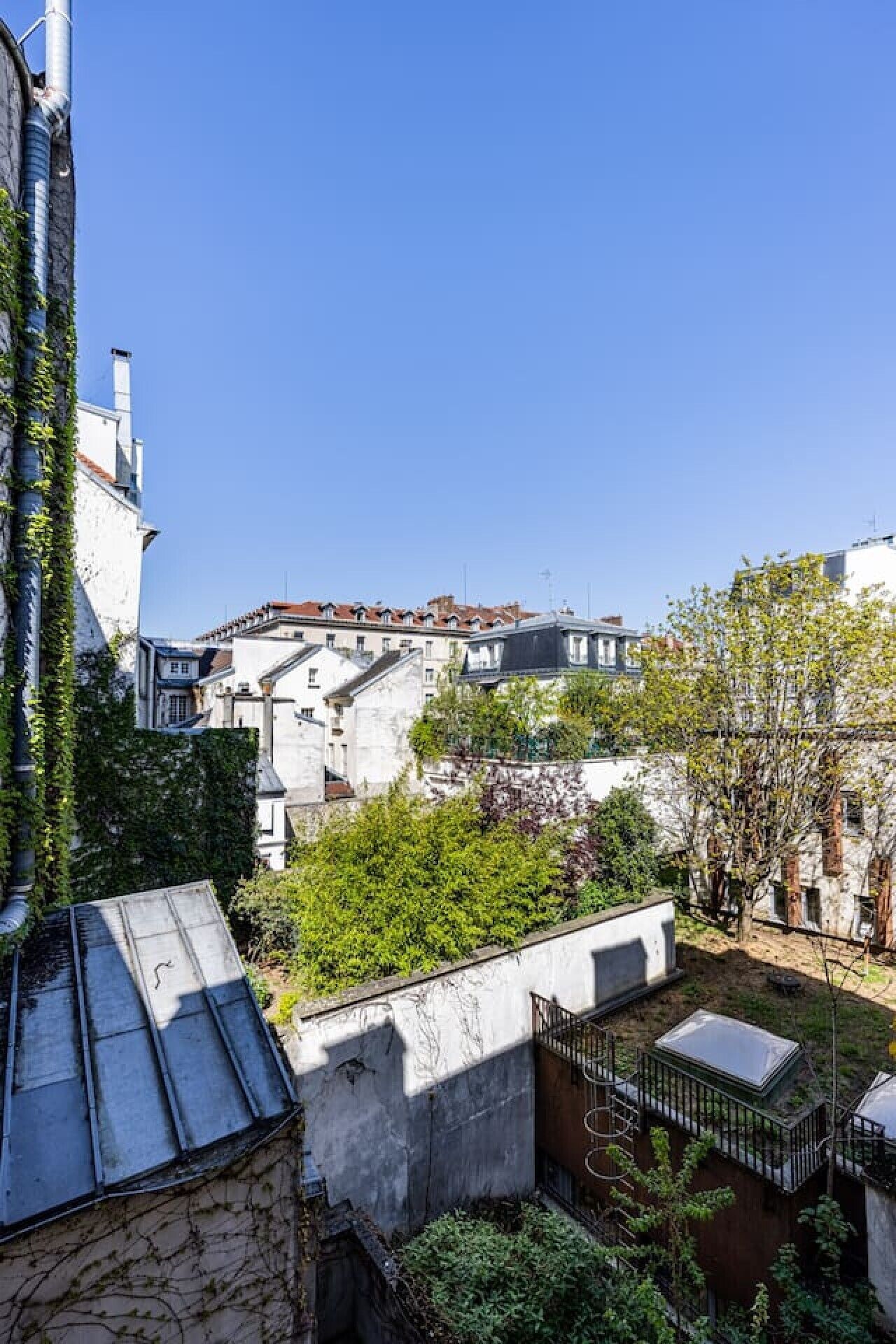 A courtyard with a view of buildings, a metal roof, and a tree.