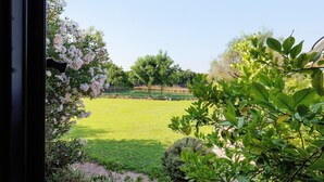 Vista a través de una ventana que muestra un área verde con árboles y una cerca.