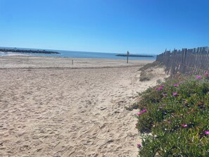 Una spiaggia sabbiosa con una recinzione di legno e fiori viola in primo piano.