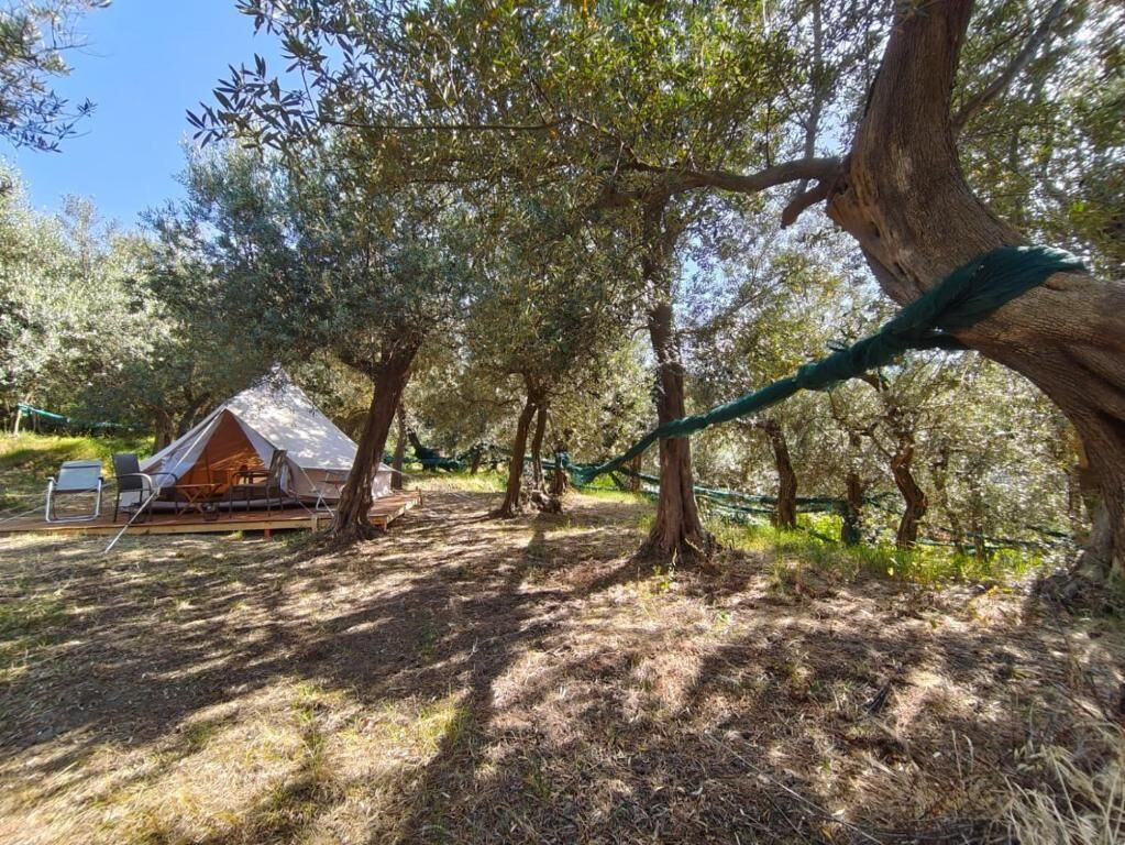 Una casa del árbol con una terraza de madera y una hamaca.
