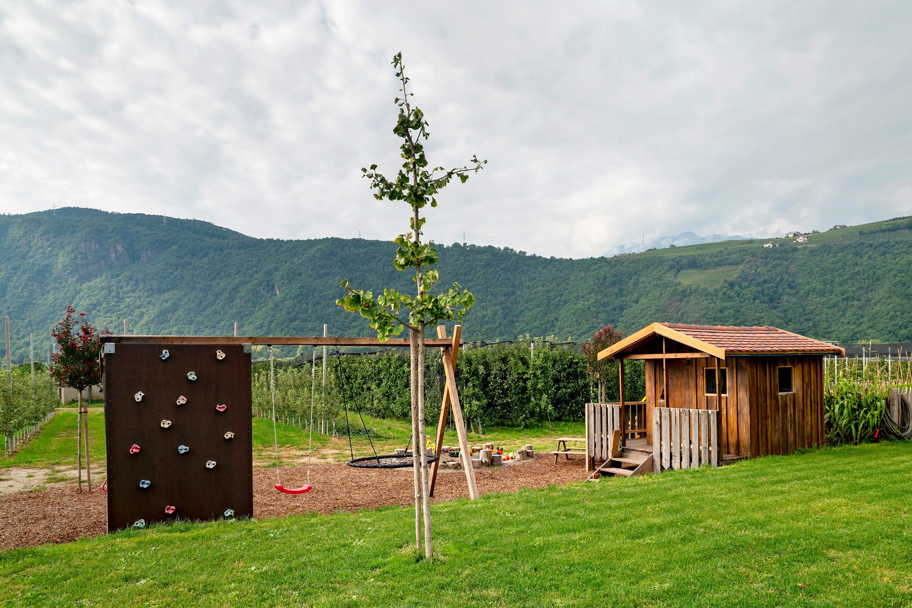 Eine Holzhütte mit rotem Ziegeldach, umgeben von einer grünen Wiese und einer Kletterwand.
