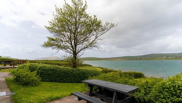 Een picknicktafel aan een meer, met een boom en struiken.