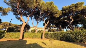 Un parc avec de grands arbres, une pelouse et un bâtiment en arrière-plan.