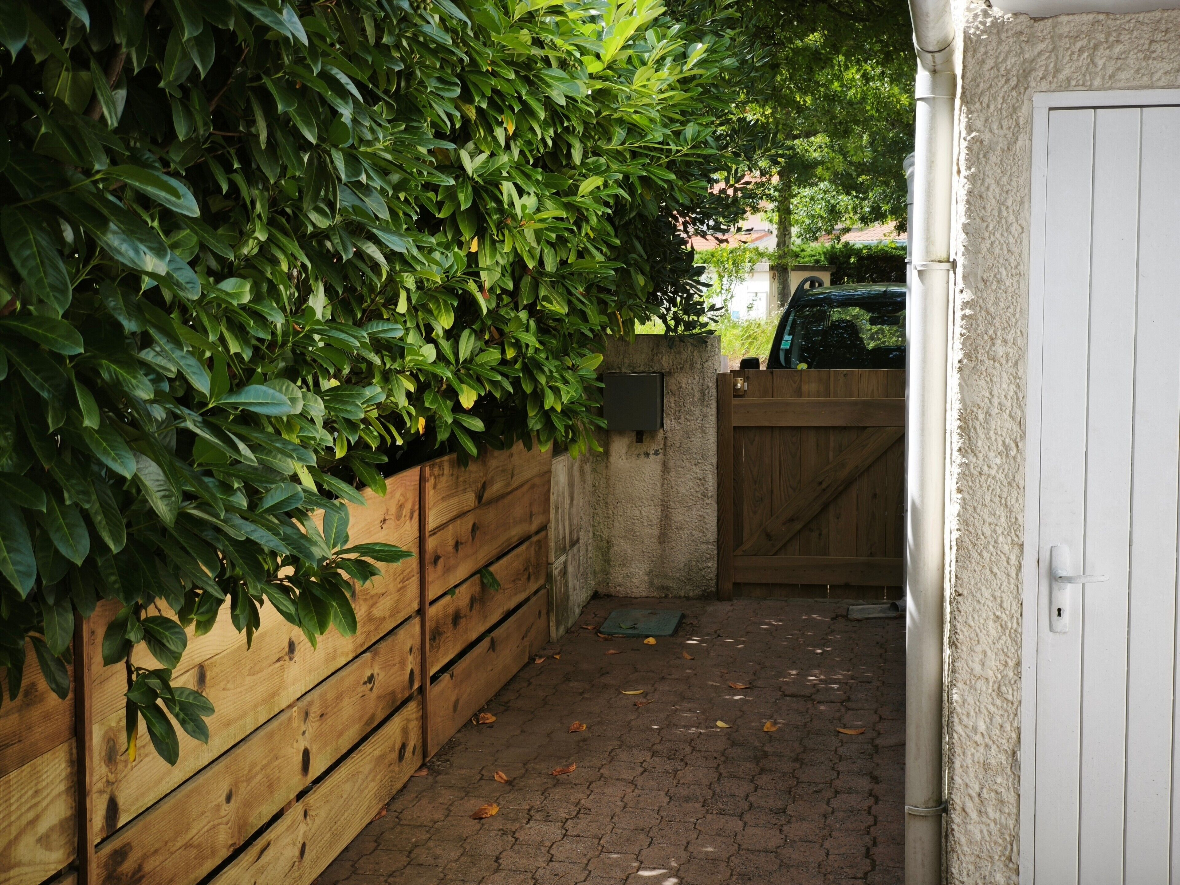 Ein schmaler gepflasterter Weg führt zu einem hölzernen Tor, umgeben von üppigem Grün.