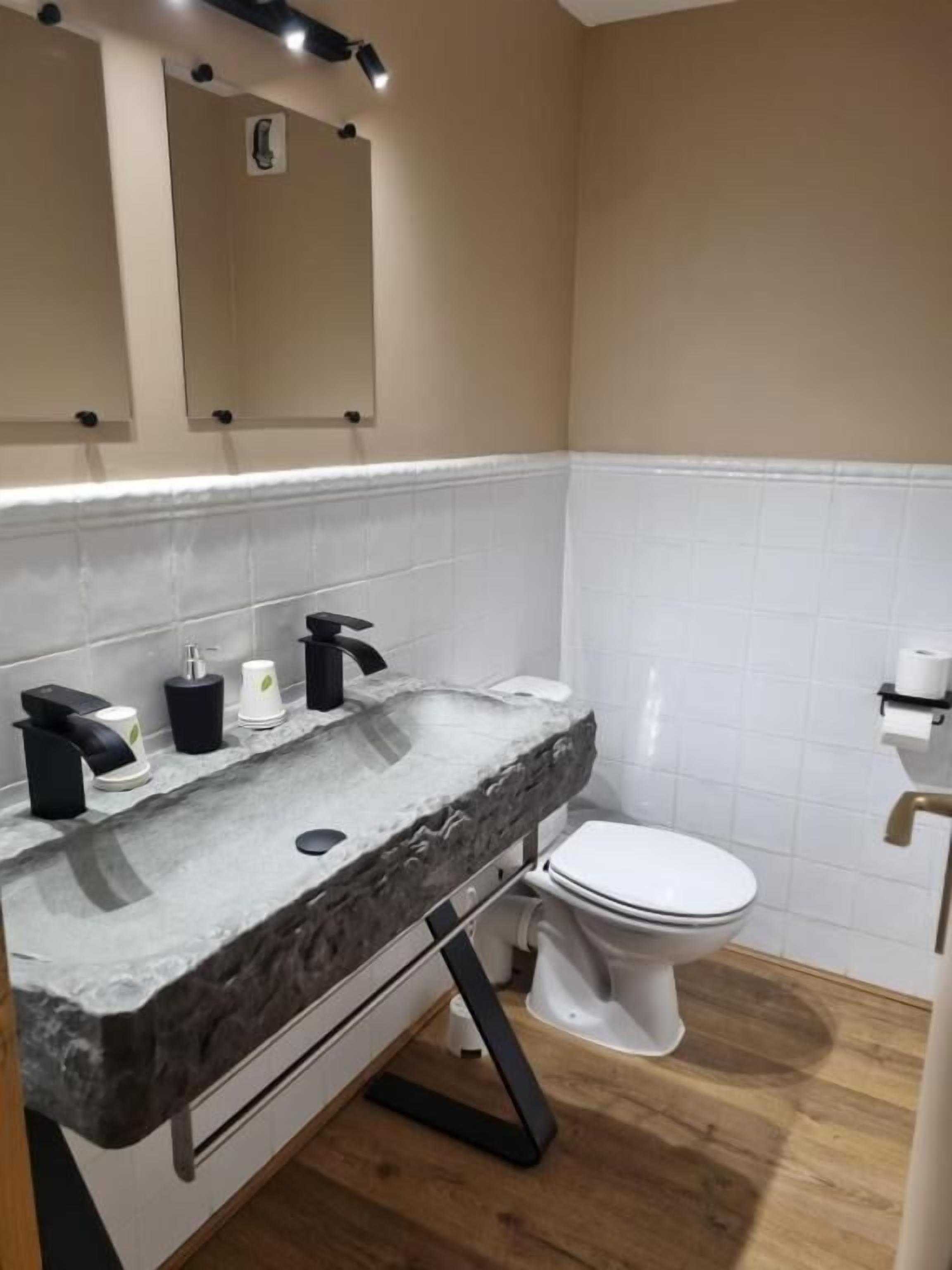 Habitación familiar, vistas a la montaña | Baño | Ducha y papel higiénico