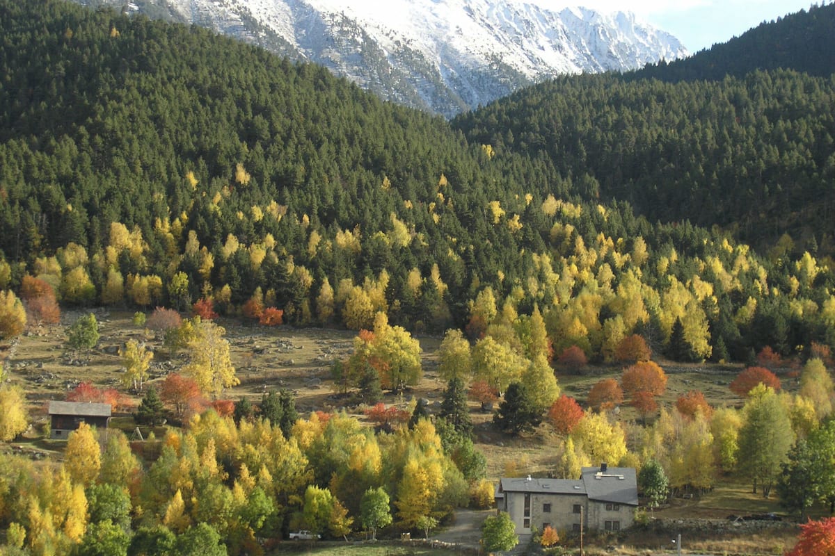 Panoramic Cabin, River View | Miscellaneous