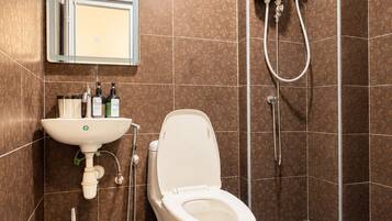 Shower, hair dryer, bidet, towels