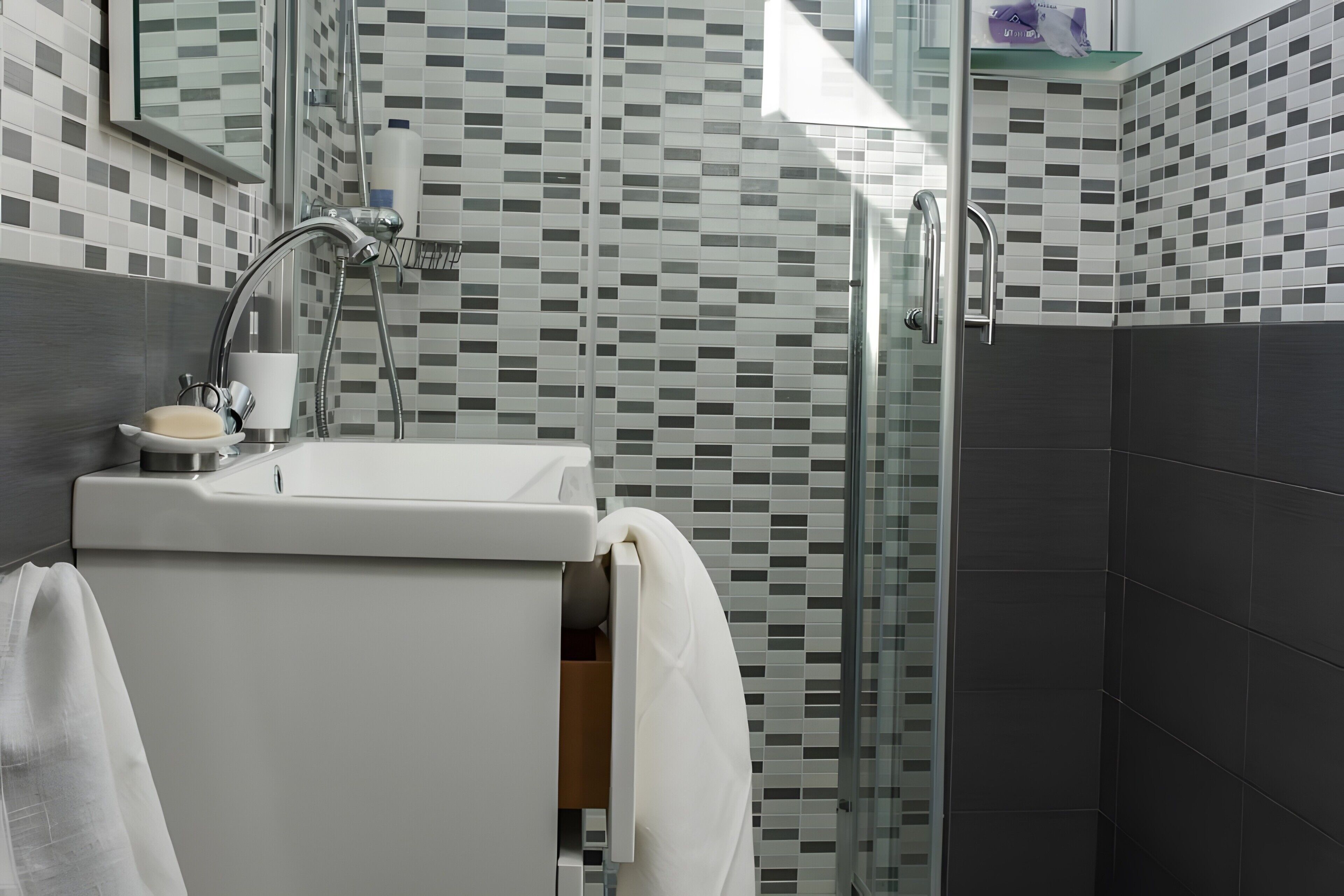 Shower, hair dryer, towels