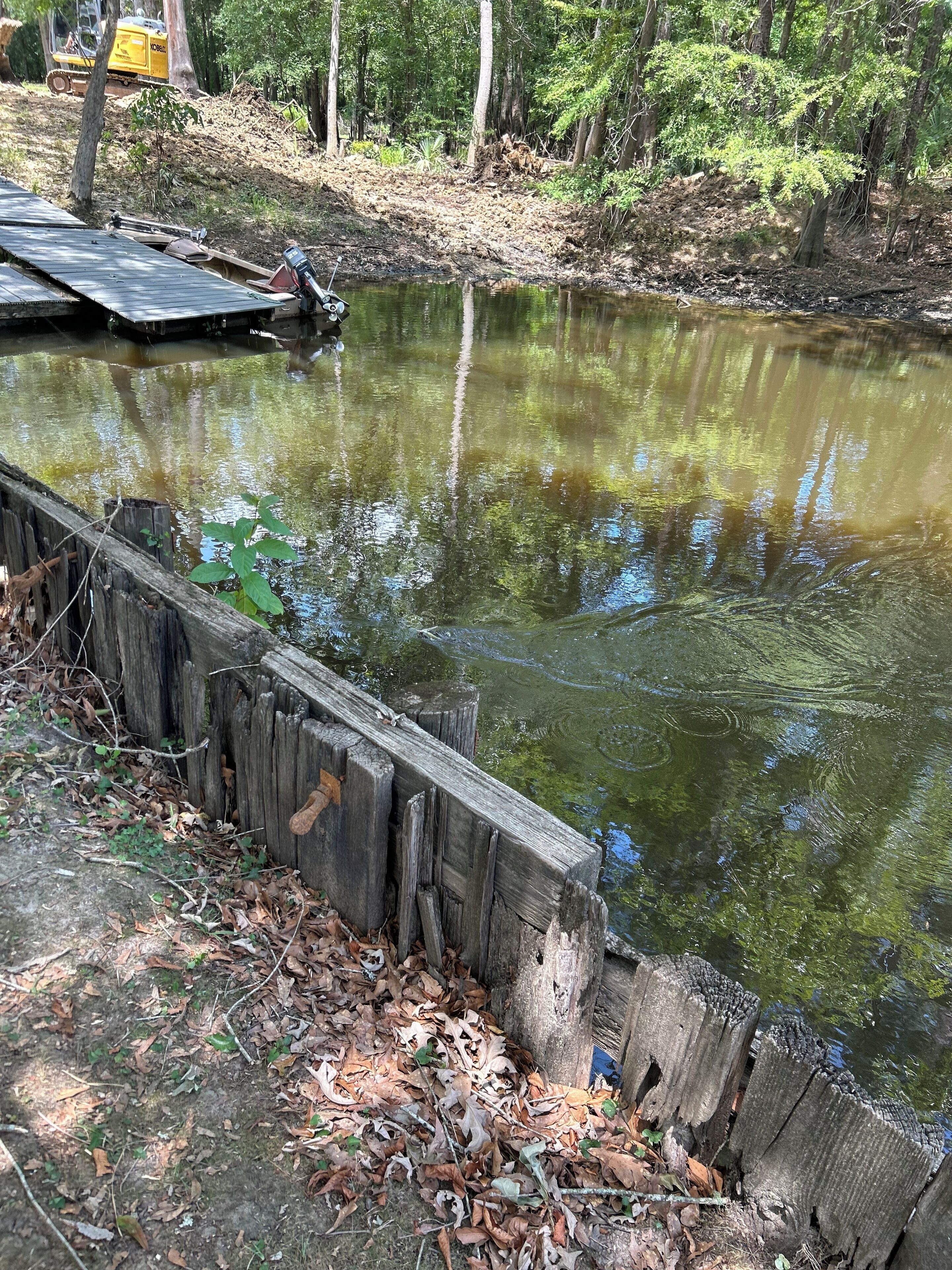 A wooden dock extending into a pond surrounded by trees.