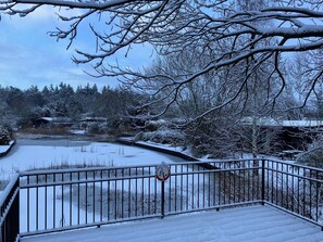 A snow-covered outdoor area with a metal railing, a pond, and trees. - Cozy Holiday Home in Stegeren (Stegeren)