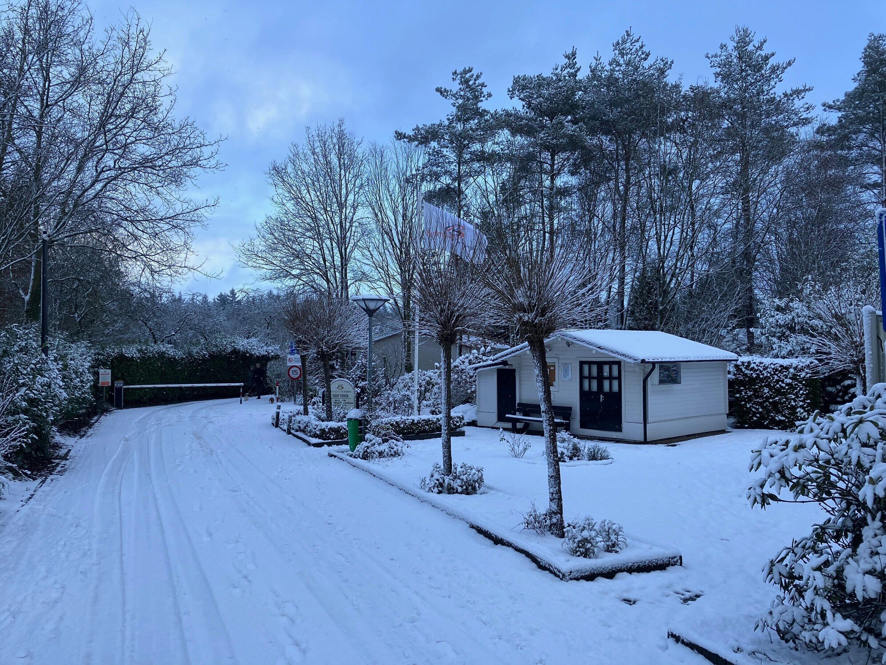 A snow-covered residential area with a road, a small white building with a black door, and snow-covered trees.