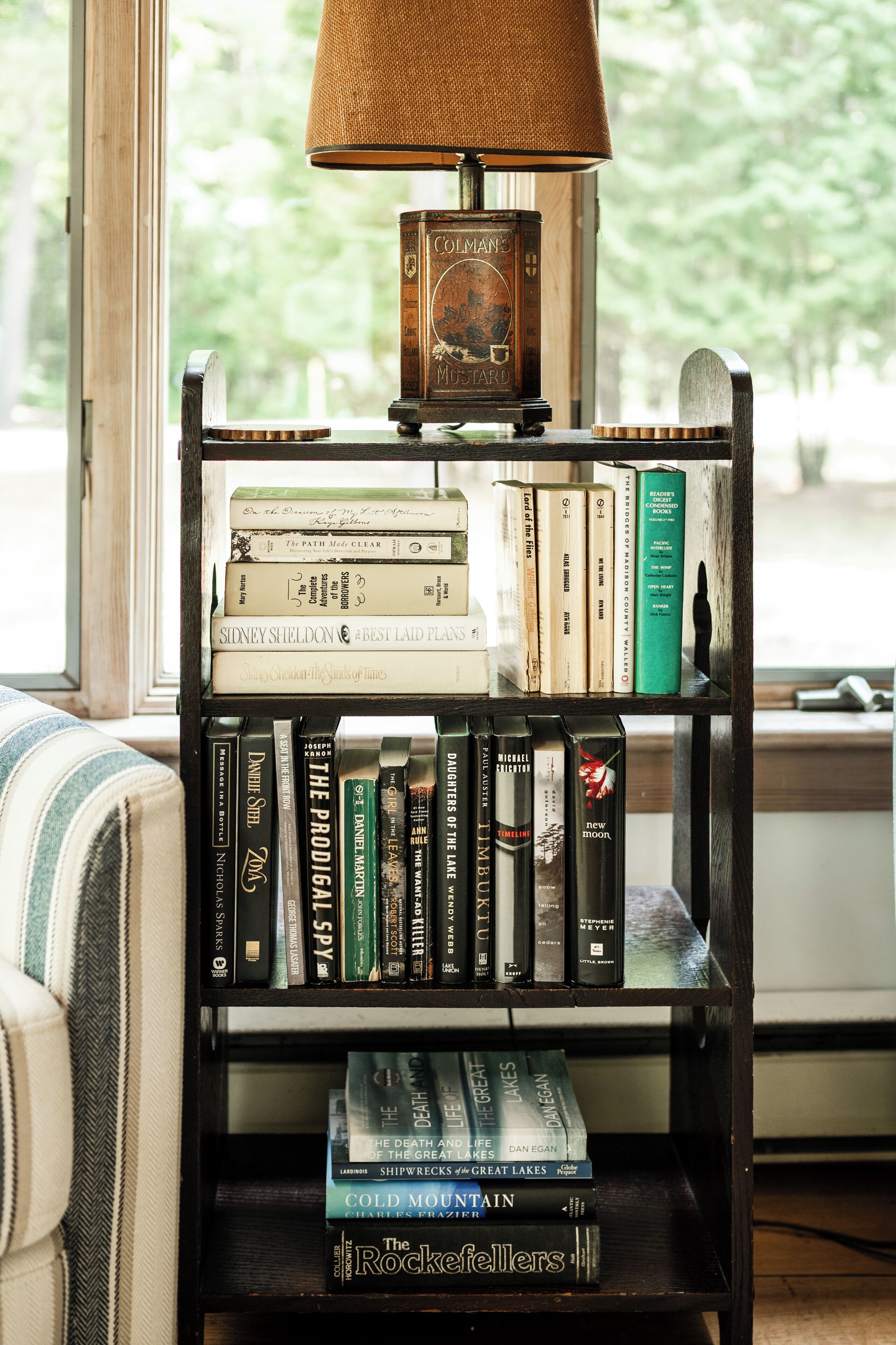 Ein Bücherregal mit Büchern und einer Lampe, platziert in der Nähe eines Fensters mit Blick auf Bäume.