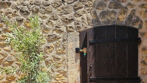 A stone wall with a potted plant and a closed wooden door. - Beautiful Village House (Lauris)