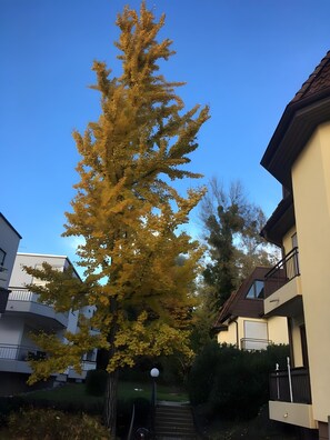 Unterkunftsgelände