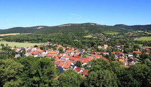 Aerial view - Apartment 'Fritsch' with Shared Terrace and Wi-Fi (Plaue)