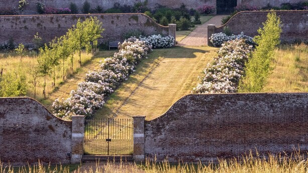 Un jardín con un muro de ladrillo, una verja y un camino bordeado de flores blancas.