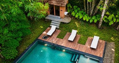 Amritara Dominics Nature Retreat Wayanad