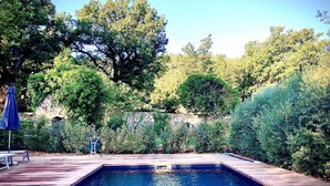 Ein rechteckiger Pool mit Holzterrasse, umgeben von üppiger Vegetation und Bäumen.