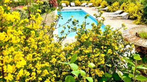 Ein Pool, umgeben von üppiger Vegetation und blauem Himmel.