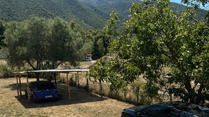 Un área de estacionamiento con un aparcamiento cubierto, un coche negro y un árbol.