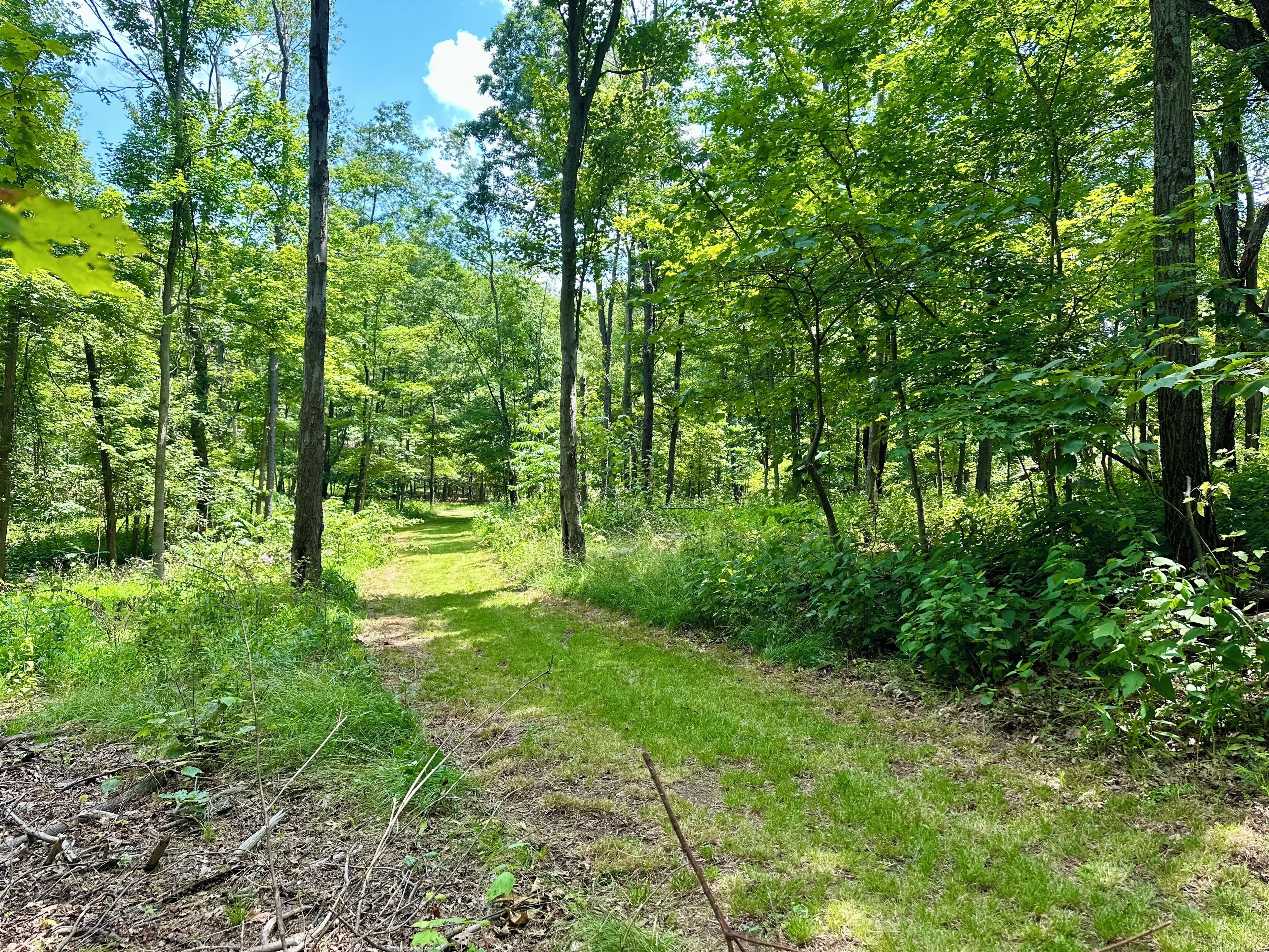 Diesels Run - Hiking Trail on Property