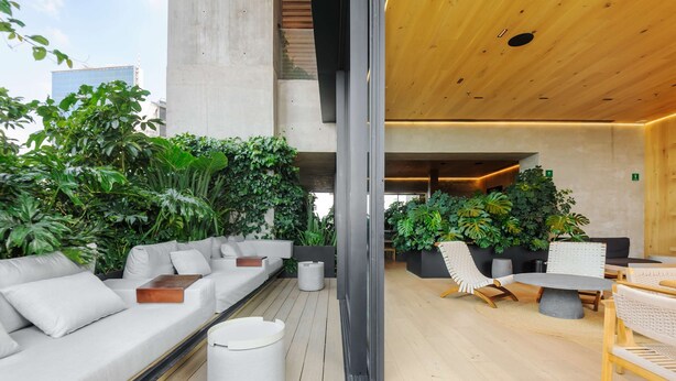 A modern outdoor lounge area with a wooden ceiling, white sofas, a round table, and lush greenery. - w Amazing Loft in the Heart of Juarez (Mexico City)