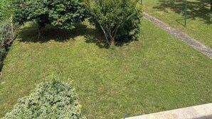 Een woonwijk met een huis, een gazon en veel groen eromheen.