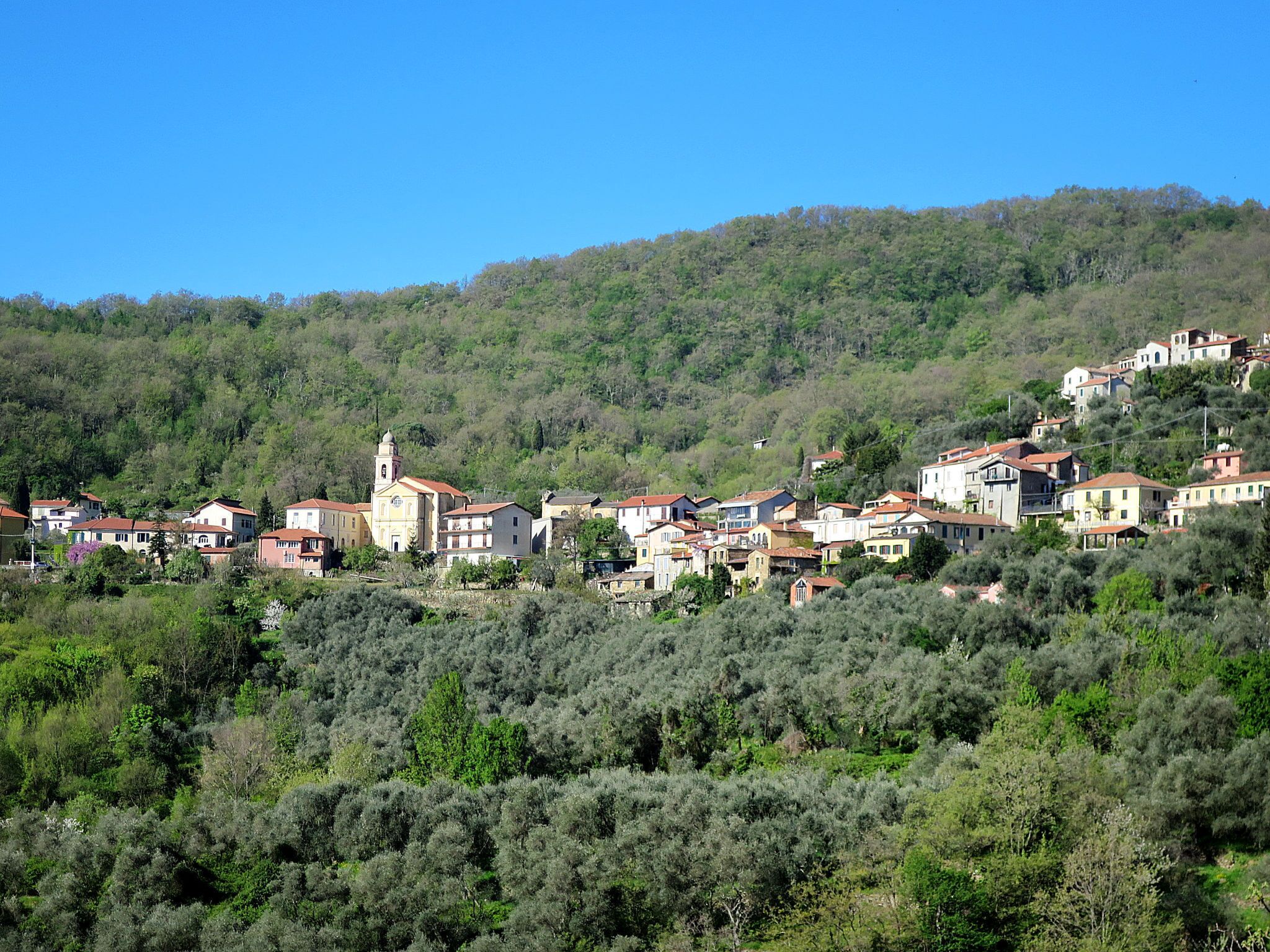 Un pueblo en una ladera con arquitectura tradicional, que incluye una iglesia con campanario, rodeado de olivares y casas.