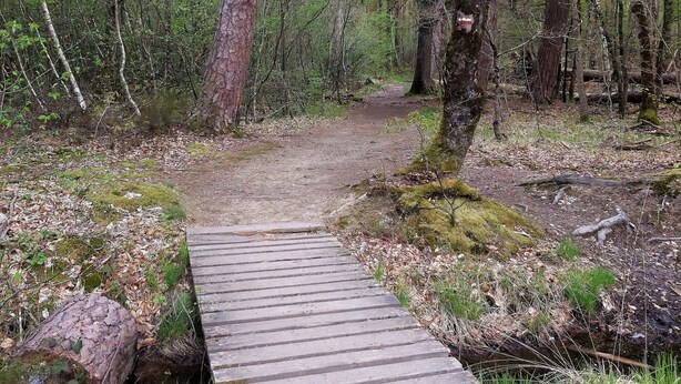 A wooden bridge in a forested area with trees and a dirt path. - Accommodations in St. Bonnet Tronçais (Saint-Bonnet-Tronçais)