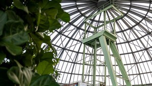 An indoor swimming pool with a glass ceiling and a green structure. - Apartment in Barmen (Wuppertal)