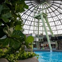 Una piscina interior con techo de vidrio y estructura verde.