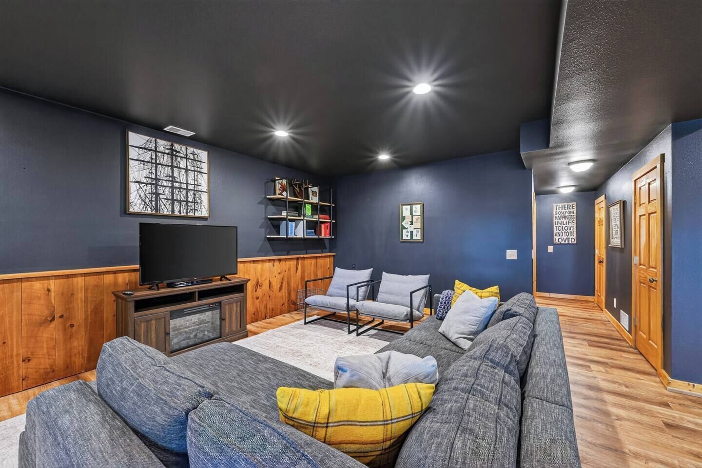 TV, fireplace, books