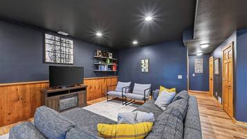 TV, fireplace, books