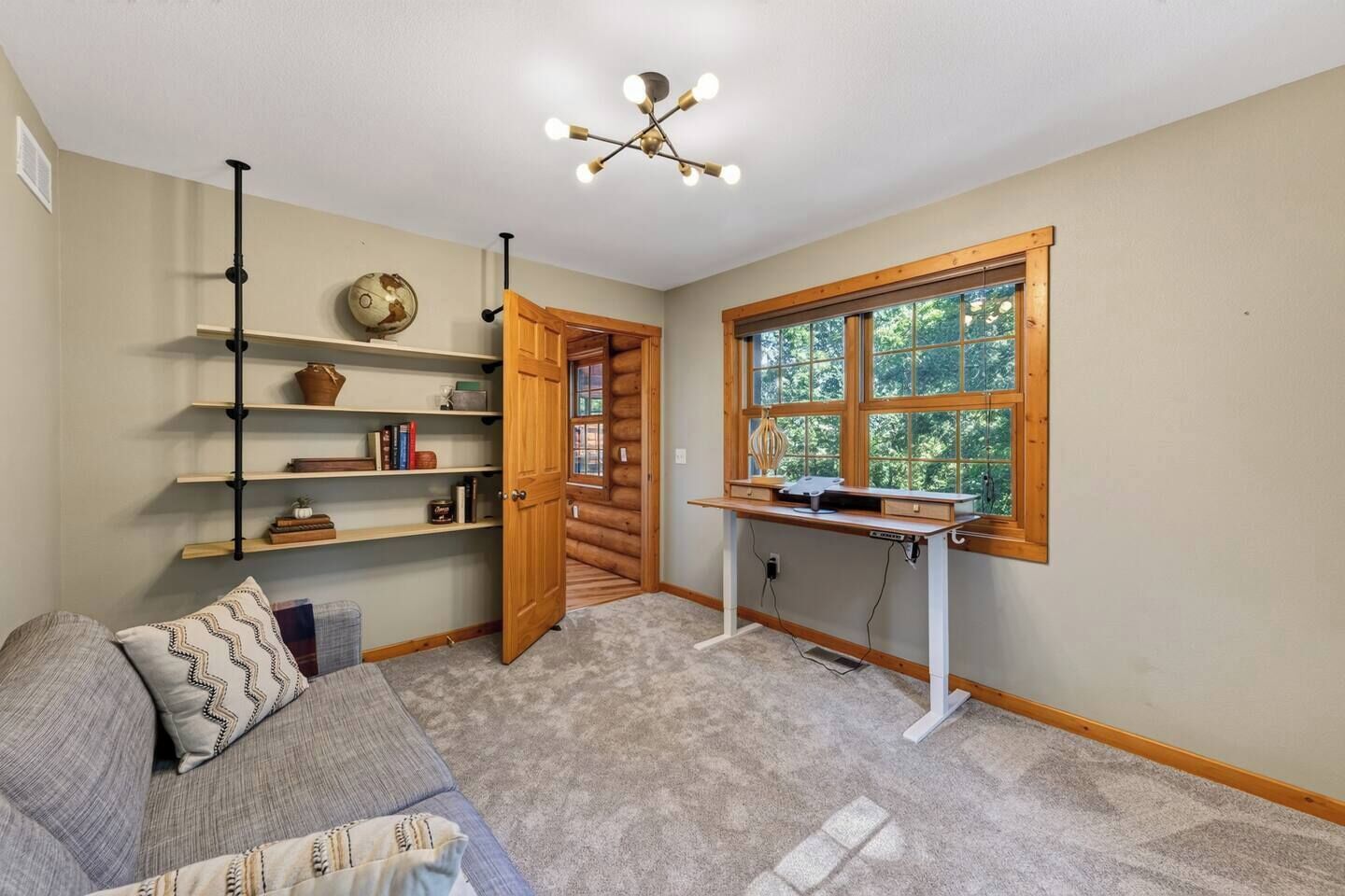 TV, fireplace, books