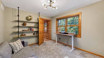 TV, fireplace, books