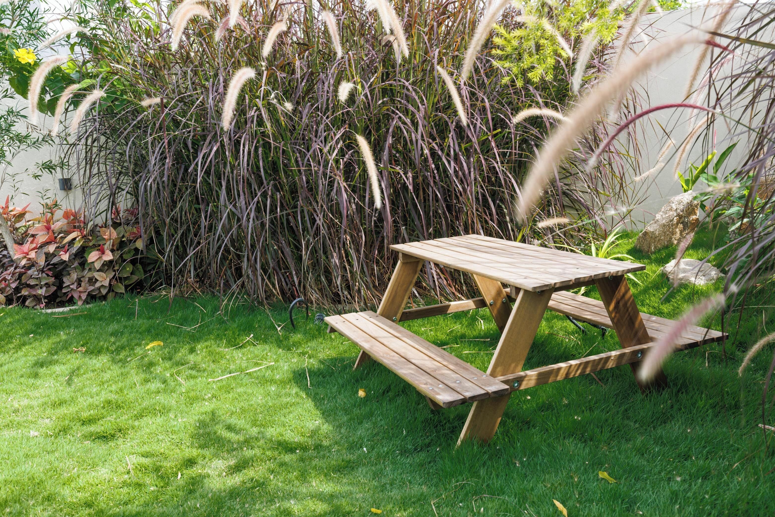 A wooden picnic table in a grassy garden with dense foliage in the background.