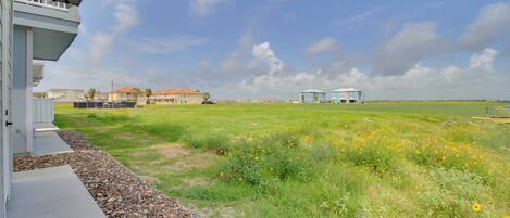 A residential area with a house, a grassy field with yellow flowers, and a clear sky.