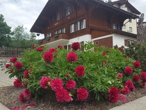 Außendetails