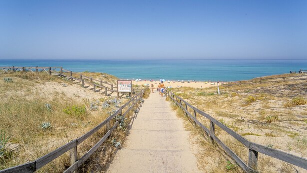 A pathway leading to a beach with a wooden fence on either side. - Charming studio at forest edge - 2 guests (Lit-et-Mixe)