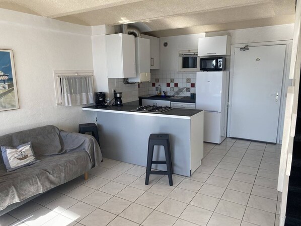 TV - Villa with pets, parking, lake view - 6 guests (Le Barcarès)
