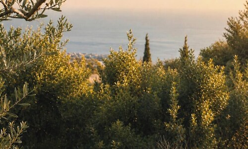 Your Balcony to the Ionian Sea :)