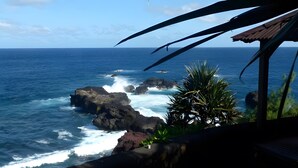 Vista costera con afloramientos rocosos, olas del océano y una palmera.