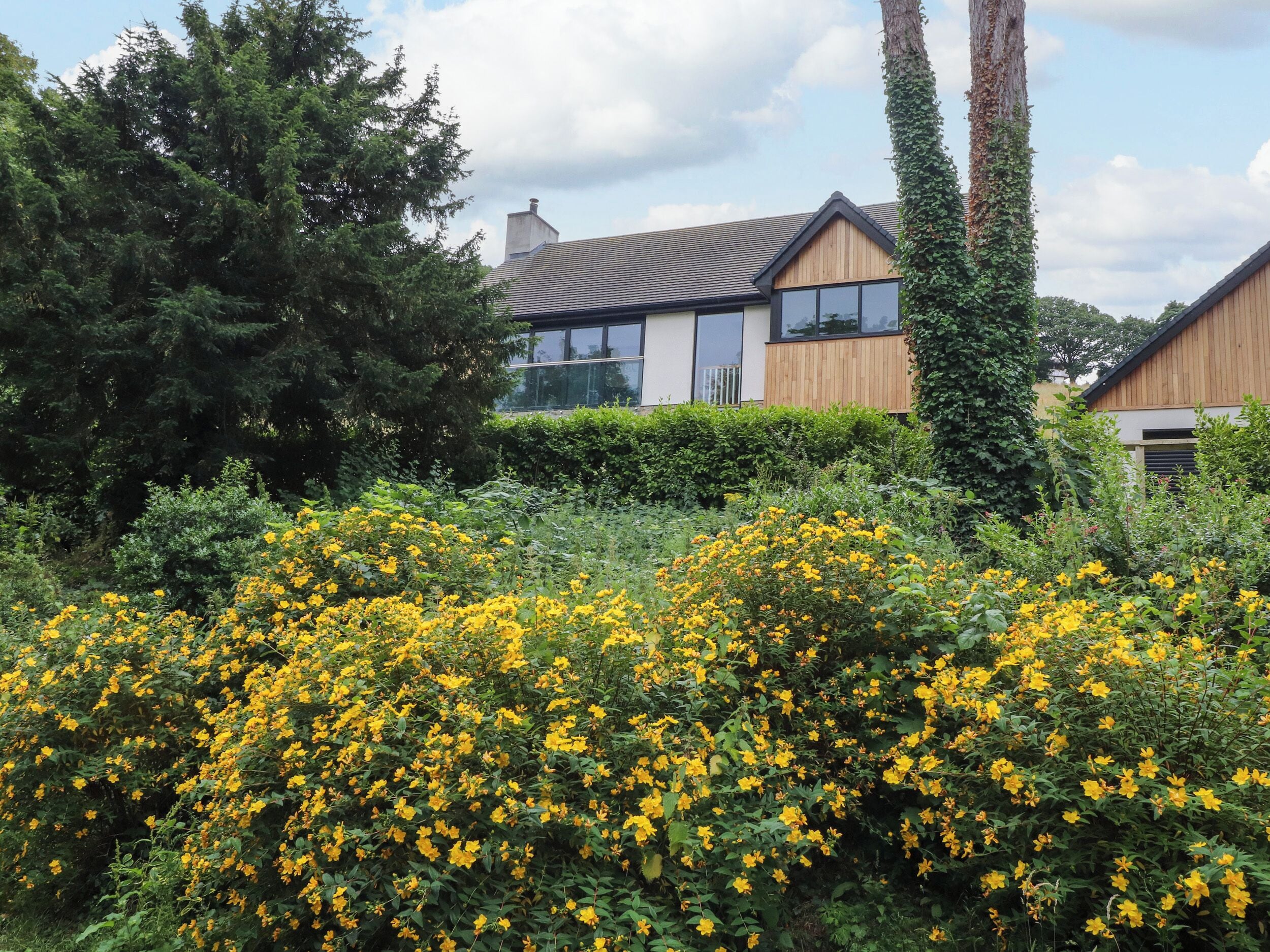 Ein modernes Haus mit großem Garten, Holzzaun und einem hohen Baum.