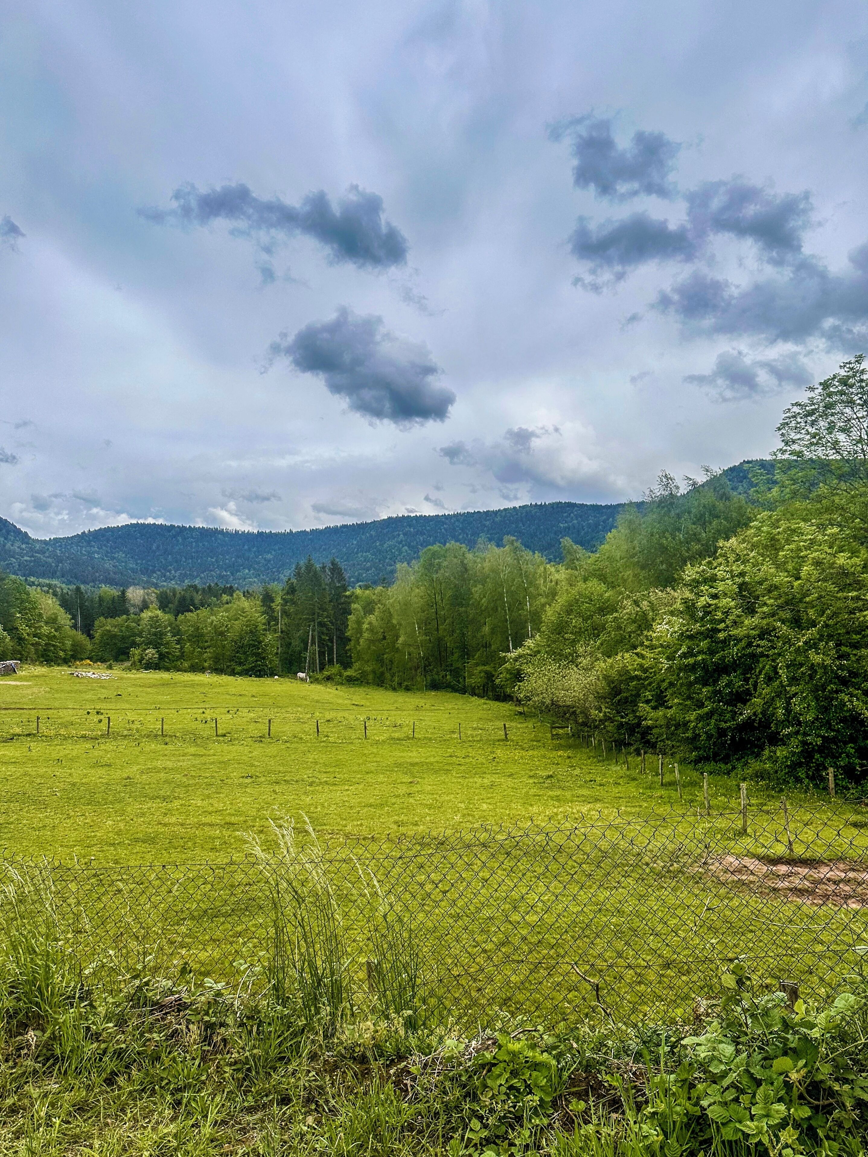A rural landscape with a fenced field, trees, and hills in the background.